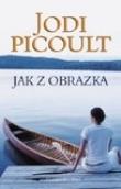 Jak z obrazka. Autor: Picoult Jodi. Dadada.pl Okładka książki Jak z obrazka