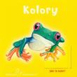 Kolory. Autor: praca zbiorowa. Dadada.pl Okładka książki Kolory