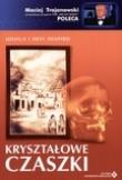 Kryształowe czaszki. Autor: Shapiro Joshua i Desy. Dadada.pl Okładka książki Kryształowe czaszki