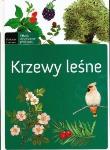 Krzewy leśne. Autor: praca zbiorowa. Dadada.pl Okładka książki Krzewy leśne