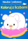 Nauka i zabawa Koloruj z liczbami. Autor:   Praca zbiorowa. Dadada.pl Okładka książki Nauka i zabawa Koloruj z liczbami