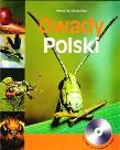 Owady Polski. Autor: Kozłowski Marek W.. Dadada.pl Okładka książki Owady Polski
