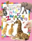 Poznajemy świat. Zabawa z naklej. Młode zwierzęta. Autor: OPRACOWANIE  ZBIOROWE. Dadada.pl Okładka książki Poznajemy świat. Zabawa z naklej. Młode zwierzęta