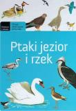 Ptaki jezior. Autor: Brodacki Michał. Dadada.pl Okładka książki Ptaki jezior
