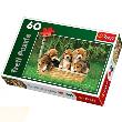 Okładka książki Puzzle 60 Małe Beagle TREFL