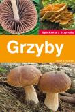 Spotkania z przyrodą. Grzyby. Autor: Marek Snowarski. Dadada.pl Okładka książki Spotkania z przyrodą. Grzyby
