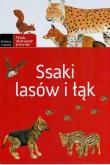 Ssaki lasów i łąk. Autor: Wilamowska Małgorzata. Dadada.pl Okładka książki Ssaki lasów i łąk