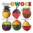 Dziwoowoce. Autor: Grzegorz Giżewski. Dadada.pl Okładka książki Dziwoowoce
