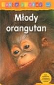 Okładka książki Młody orangutan. Lubię czytać