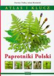 Paprotniki Polski Atlas i klucz. Autor: Tlałka Dariusz, Rostański Adam. Dadada.pl Okładka książki Paprotniki Polski Atlas i klucz