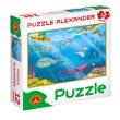 Okładka książki Puzzle 12- MAXI Ocean ALEX