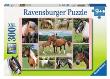 Opakowanie Puzzle 300 Świat koni