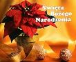 Święta Bożego Narodzenia. Perełka 31. Autor: Opracowanie zbiorowe. Dadada.pl Okładka książki Święta Bożego Narodzenia. Perełka 31