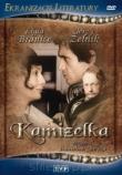 Okładka książki Kamizelka  DVD
