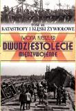 Katastrofy i klęski żywiołowe. Autor: Iwona Kienzler. Dadada.pl Okładka książki Katastrofy i klęski żywiołowe