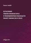 Okładka książki Kształtowanie struktur organizacyjnych w przedsiębiorstwach realizujących projekty innowacyjne w Polsce