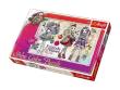 Okładka książki Puzzle 160 Shine Color Uczennice Ever After High