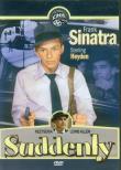 Okładka książki Suddenly