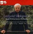 Vaughan Williams: Fantasia On A Theme by Thomas Tallis. Autor: Royal Philharmonic Orchestra, Leopold Stokowski. Dadada.pl Okładka książki Vaughan Williams: Fantasia On A Theme by Thomas Tallis