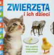 Zwierzęta i ich dzieci. Autor: Apsley Brenda. Dadada.pl Okładka książki Zwierzęta i ich dzieci