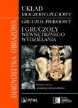 Diagnostyka obrazowa Układ moczowo-płciowy, gruczoł piersiowy i gruczoły wewnętrznego wydzielania. Autor: Opracowanie zbiorowe. Dadada.pl Okładka książki Diagnostyka obrazowa Układ moczowo-płciowy, gruczoł piersiowy i gruczoły wewnętrznego wydzielania