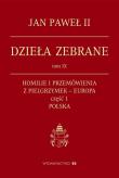 Okładka książki Dzieła zebrane, tom IX