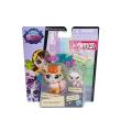 Opakowanie Littlest Pet Shop zwierzaki z akcesoriami Madame Pom Leblanc i Paprika Prince
