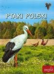Ptaki Polski. Autor: Elżbieta Zarych. Dadada.pl Okładka książki Ptaki Polski