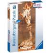 Opakowanie Puzzle 1000 EL. Panorama Żyrafy