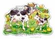 Opakowanie Puzzle 12 maxi - Cows on a Meadow CASTOR