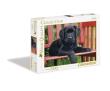 Opakowanie Puzzle 500 High Quality Collection The Black dog