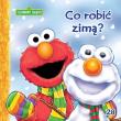 Sezamkowy Zakątek 28 Co robić zimą?. Autor: Abigail Tabby. Dadada.pl Okładka książki Sezamkowy Zakątek 28 Co robić zimą?