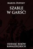 Okładka książki Szable w garść!