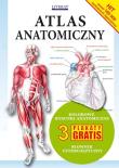 Atlas Anatomiczny broszura w. 2011 LITERAT. Autor: praca zbiorowa. Dadada.pl Okładka książki Atlas Anatomiczny broszura w. 2011 LITERAT