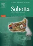 Atlas anatomii człowieka t.1 Sobotta. Wydawca: Edra Urban & Partner. Dadada.pl Opakowanie Atlas anatomii człowieka t.1 Sobotta