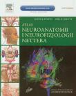 Okładka książki Atlas neuroanatomii i neurofizjologii Nettera