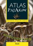 Atlas pająków PASCAL. Autor: Przybyłowicz Łukasz. Dadada.pl Okładka książki Atlas pająków PASCAL