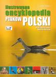 Ilustrowana encyklopedia ptaków Polski. Autor: Radziszewski Michał, Matysiak Mateusz. Dadada.pl Okładka książki Ilustrowana encyklopedia ptaków Polski