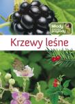 Młody obserwator przyrody - Krzewy leśne. Autor: Multico. Dadada.pl Okładka książki Młody obserwator przyrody - Krzewy leśne