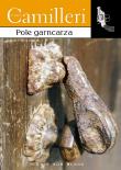 Pole garncarza. Autor: Camilleri Andrea. Dadada.pl Okładka książki Pole garncarza