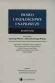 Prawo upadłościowe i naprawcze Komentarz. Wydawca: LexisNexis. Dadada.pl Opakowanie Prawo upadłościowe i naprawcze Komentarz