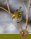 Ptaki Polski T.2. Autor: Kruszewicz Andrzej G.. Dadada.pl Okładka książki Ptaki Polski T.2