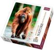 Okładka książki Puzzle 1000 Nature... - Orangutan TREFL