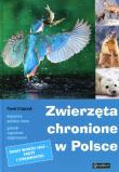 Zwierzęta chronione w Polsce. Autor: Czapczyk Paweł. Dadada.pl Okładka książki Zwierzęta chronione w Polsce