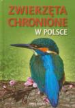 Zwierzęta chronione w Polsce. Autor: praca zbiorowa. Dadada.pl Okładka książki Zwierzęta chronione w Polsce