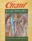 Atlas anatomii Grant. Autor: Agur Anne M.R., Lee Ming J.. Dadada.pl Okładka książki Atlas anatomii Grant