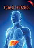 Encyklopedia Fakty Ciało ludzkie. Autor: Opracowanie zbiorowe. Dadada.pl Okładka książki Encyklopedia Fakty Ciało ludzkie