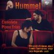 Hummel: Complete Piano Trios. Autor: Alessandro Deljavan, Daniela Cammarano, Luca Magariello. Dadada.pl Okładka książki Hummel: Complete Piano Trios