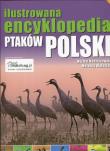 Ilustrowana encyklopedia ptaków Polski. Autor: Radziszewski Michał, Matysiak Mateusz. Dadada.pl Okładka książki Ilustrowana encyklopedia ptaków Polski