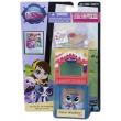 Opakowanie Littlest Pet Shop Zwierzak z pokoikiem Parker Waddleton